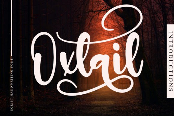 Oxtail Font Review: A Dainty Script for Elegant Branding