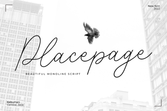 Placepage Font Review: Elevating Web Design with Elegant Script