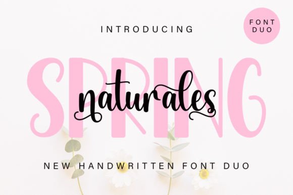 Spring Naturales Duo: A Versatile Typeface for Modern Web Design