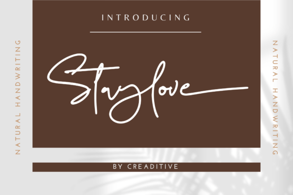 Staylove: The Script Font That Stops the Scroll