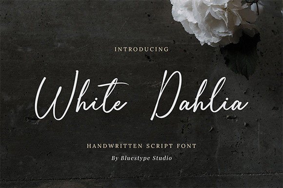 White Dahlia: A Designer's Honest Review for Branding